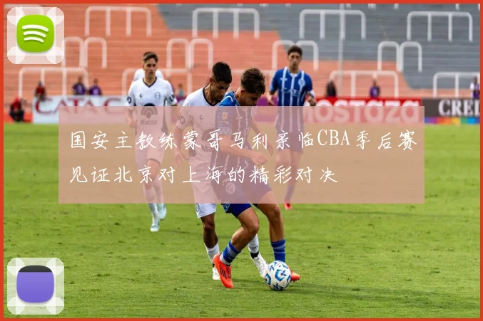 国安主教练蒙哥马利亲临CBA季后赛见证北京对上海的精彩对决